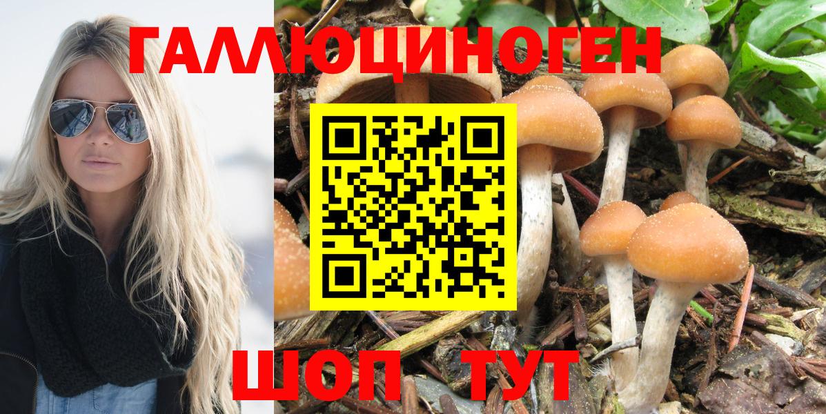 Псилоцибиновые грибы мицелий Коряжма